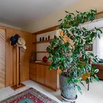 Ca' Giorgio - Apartamento